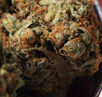 zoom cannabis -02